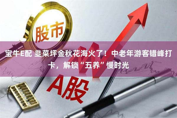 宝牛E配 韭菜坪金秋花海火了！中老年游客错峰打卡，解锁“五养”慢时光