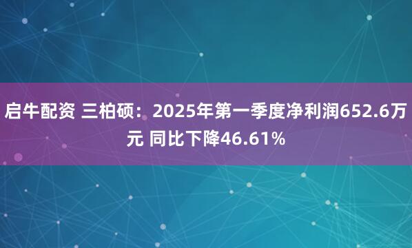 启牛配资 三柏硕：2025年第一季度净利润652.6万元 同比下降46.61%