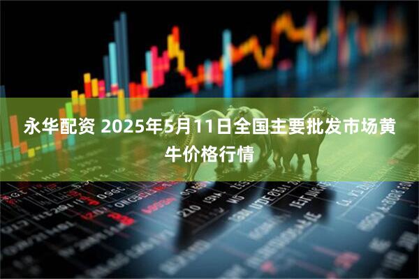 永华配资 2025年5月11日全国主要批发市场黄牛价格行情