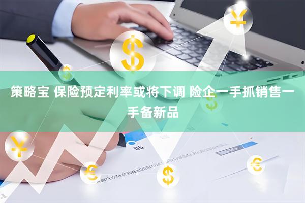 策略宝 保险预定利率或将下调 险企一手抓销售一手备新品