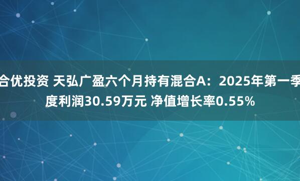 合优投资 天弘广盈六个月持有混合A：2025年第一季度利润30.59万元 净值增长率0.55%