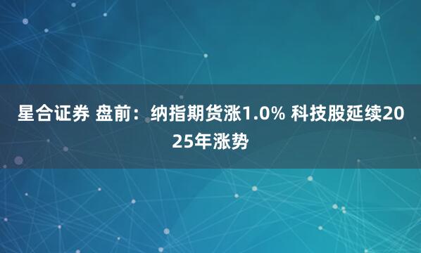 星合证券 盘前:纳指期货涨1.0% 科技股延续2025年涨势