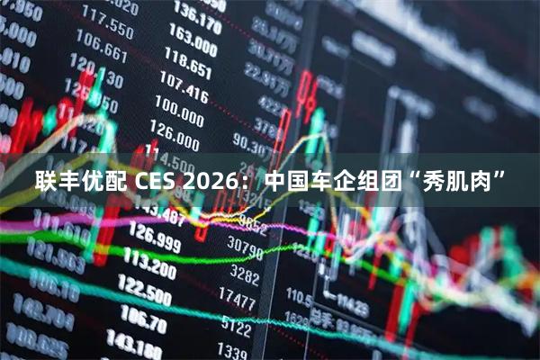 联丰优配 CES 2026：中国车企组团“秀肌肉”