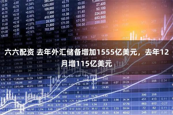 六六配资 去年外汇储备增加1555亿美元，去年12月增115亿美元