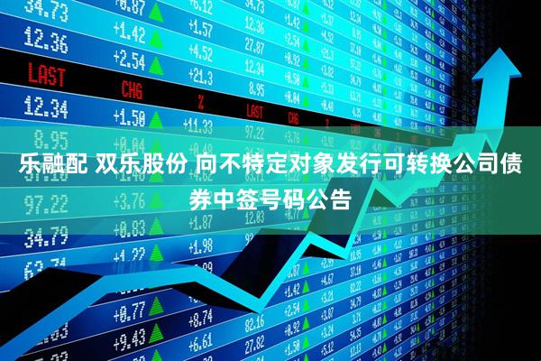 乐融配 双乐股份 向不特定对象发行可转换公司债券中签号码公告