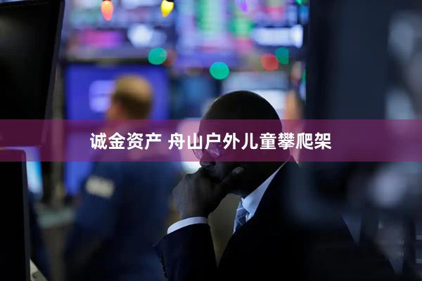诚金资产 舟山户外儿童攀爬架